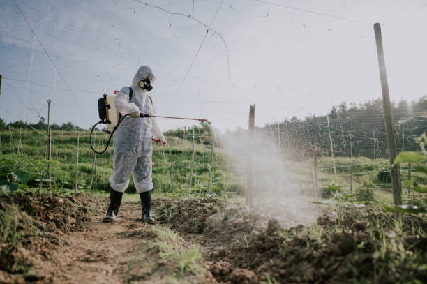 Best Best Pest Control Companies  in San Felipe Pueblo, NM