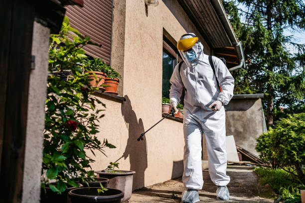 Best Commercial Pest Control Services  in San Felipe Pueblo, NM