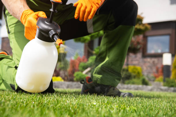 Professional Pest Control in San Felipe Pueblo, NM