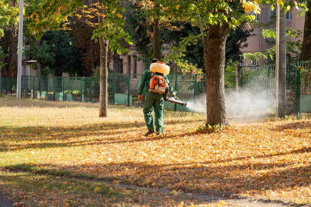 Pest Control Cost in San Felipe Pueblo, NM